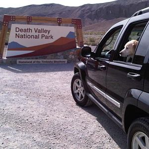 Death Valley trip with my Yellow Labrador Retriever!