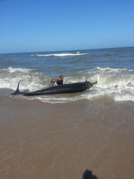 image after this pix my wife took the jeep to get help he was out to sea 30 min later