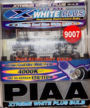 PiaaBulbs2.jpg