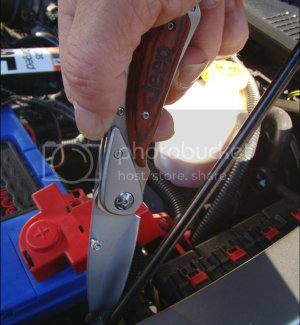 Rhino%20Pac3.jpg