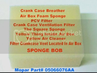 Sponge%20Bob%2005066076A.png.jpg