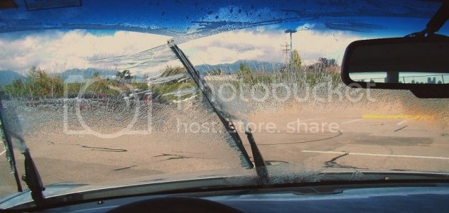 WindshieldFluid5.jpg