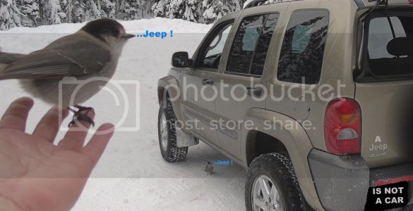 Jeep%20Jeep.jpg