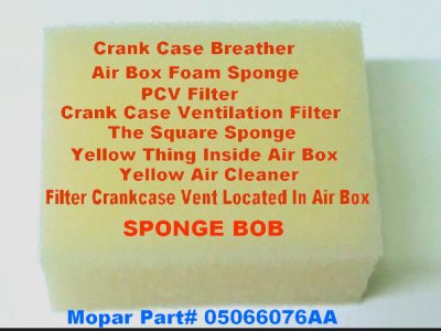 Sponge Bob 05066076A.jpg