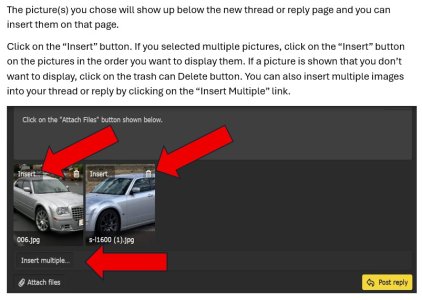 Post pics 300.JPG