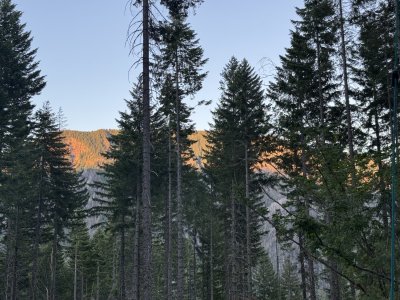 IMG_4636.jpeg