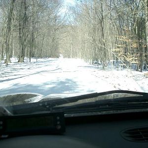 In The snow