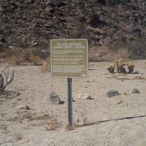 Lower coyote trail-- Anza Borrego, CA State Park