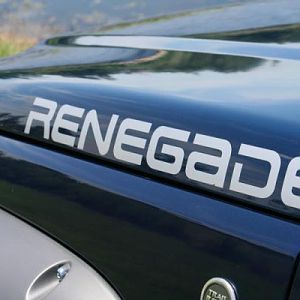Pixel Decal Renegade Logos