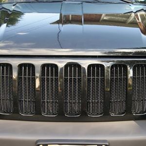 Noticed a lot of buggy type things on my radiator, and wanted a cool looking way to keep them out so I added some black aluminum mesh grill from ebay