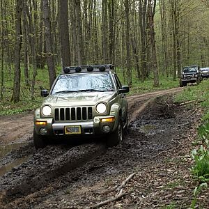 Manistee National Forest (MI)