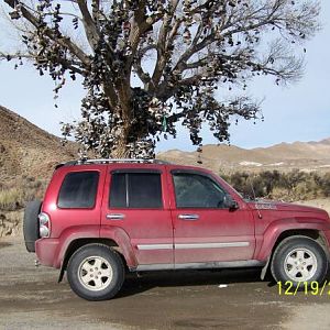 Jeep in front of the shoe tree on Hwy 50 in Nevada