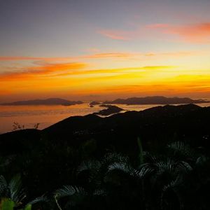 The view from my parents' house looking out over St. John and Tortola