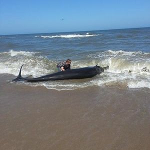 image after this pix my wife took the jeep to get help he was out to sea 30 min later