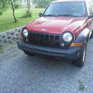 Plasti diped the grille.