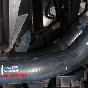 Mopar Upper Rad Hose.jpg