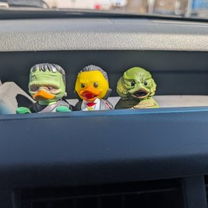 Monster Ducks.jpg