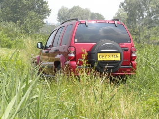 cherokee in natural habitat