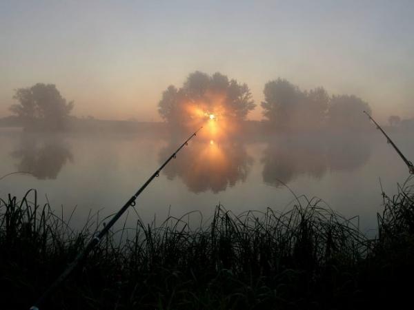 czernica near by Wrocław