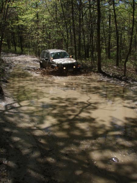 Dean bogging in the barrens