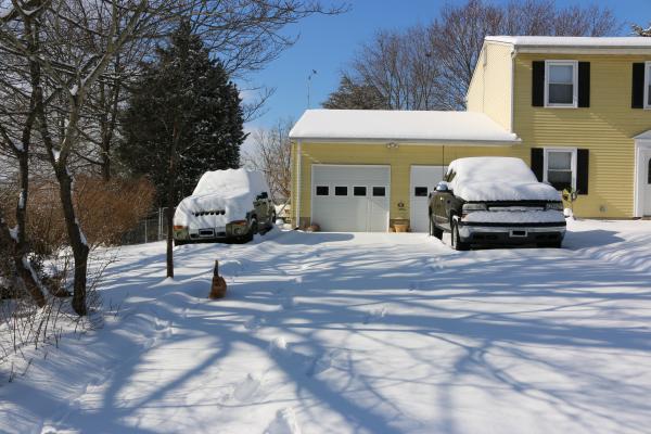 Driveway snow Feb 2015 from street.