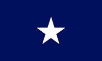 First flag -west republic army . Aka bonnet blue.