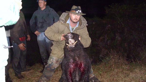 hog hunting , with dogs, in my jeep.