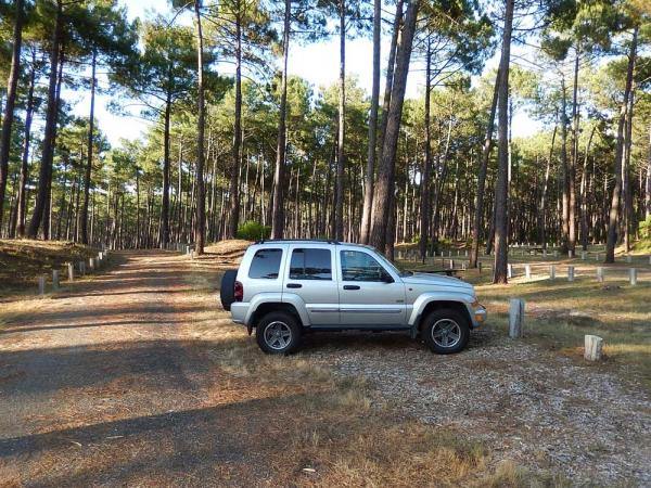 KJ at the beach (landes)