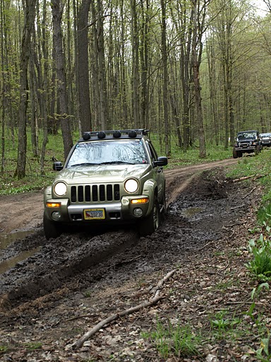 Manistee National Forest (MI)