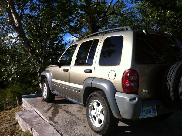 Mr. Darcy after our first real bath. I used a bucket and mitt and a hose! :) So spiritual...