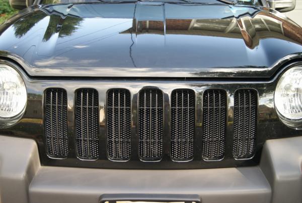 Noticed a lot of buggy type things on my radiator, and wanted a cool looking way to keep them out so I added some black aluminum mesh grill from ebay