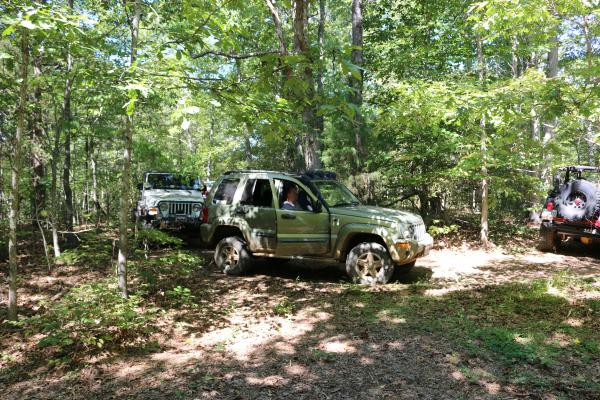 Short break, my buddy is relaxing in the Libby.