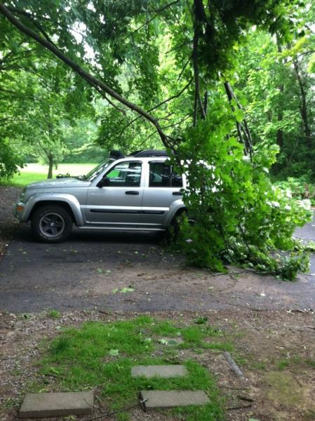 Tree limb fell on the Jeep the other night in a bad thunder storm