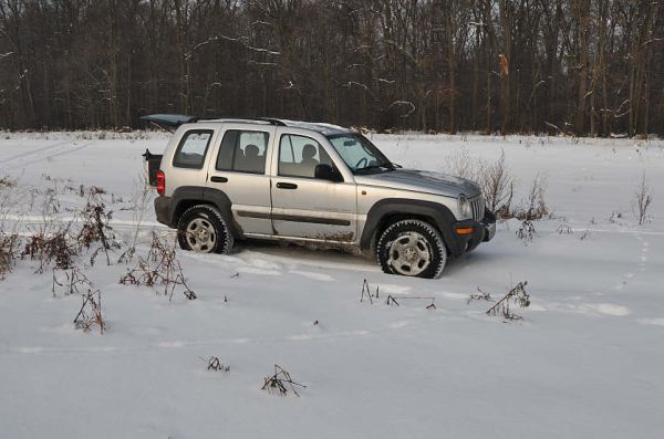 Winter 2010  - beware of boars :)