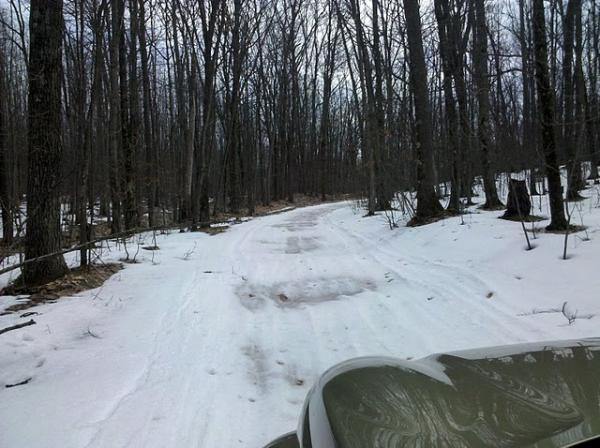 Winter in Manistee NF